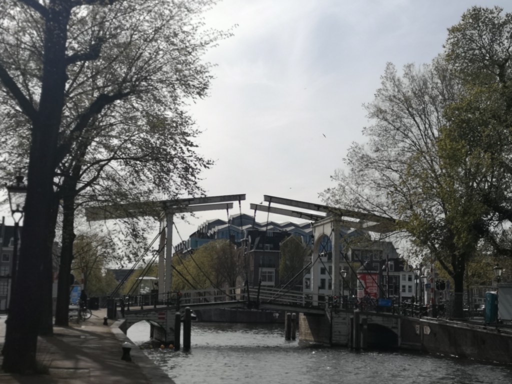 Navigating the In-Between