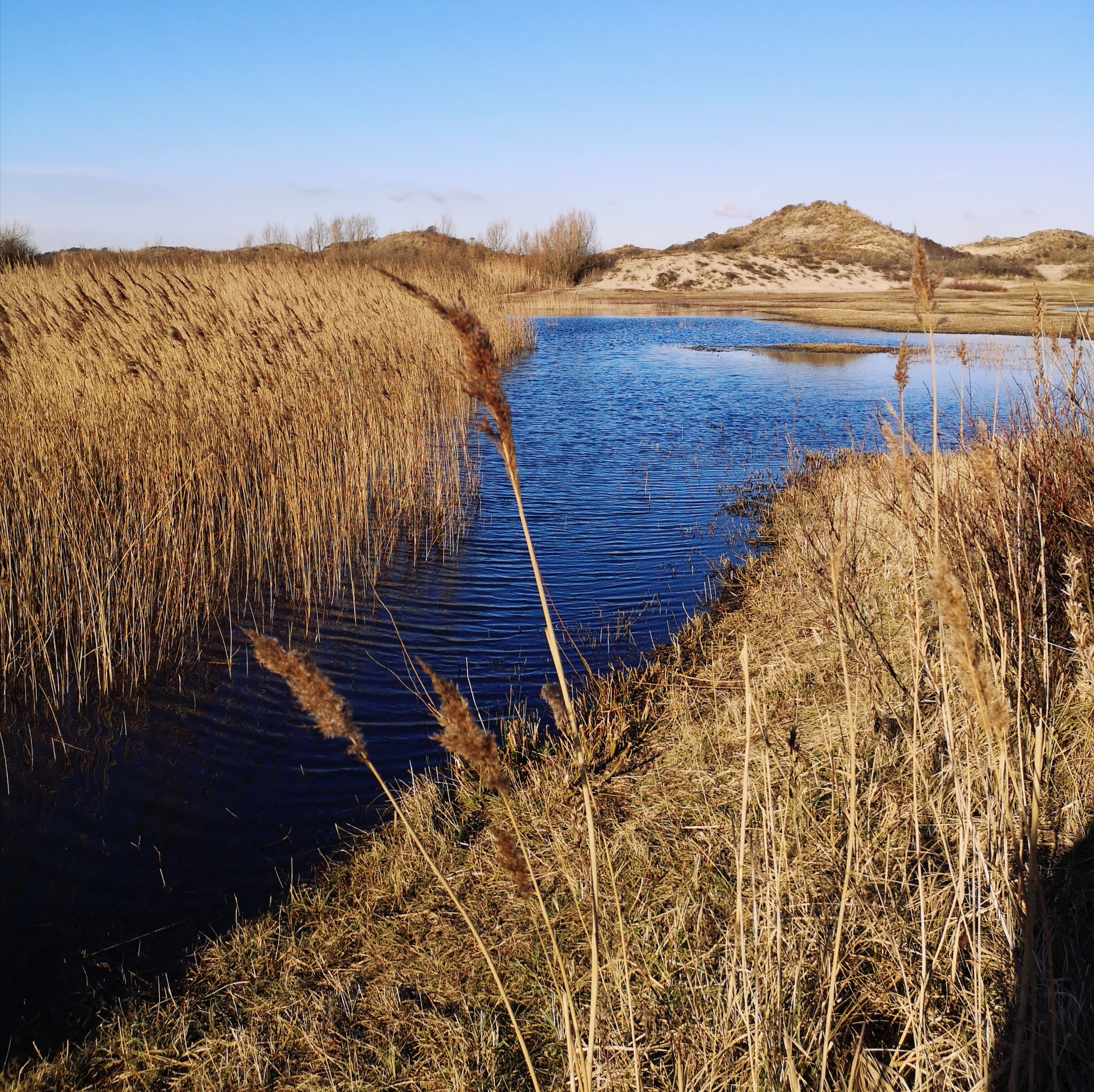 A Day Trip From Amsterdam: Zandvoort
